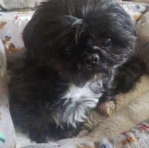 Meet your Posher, Frederick